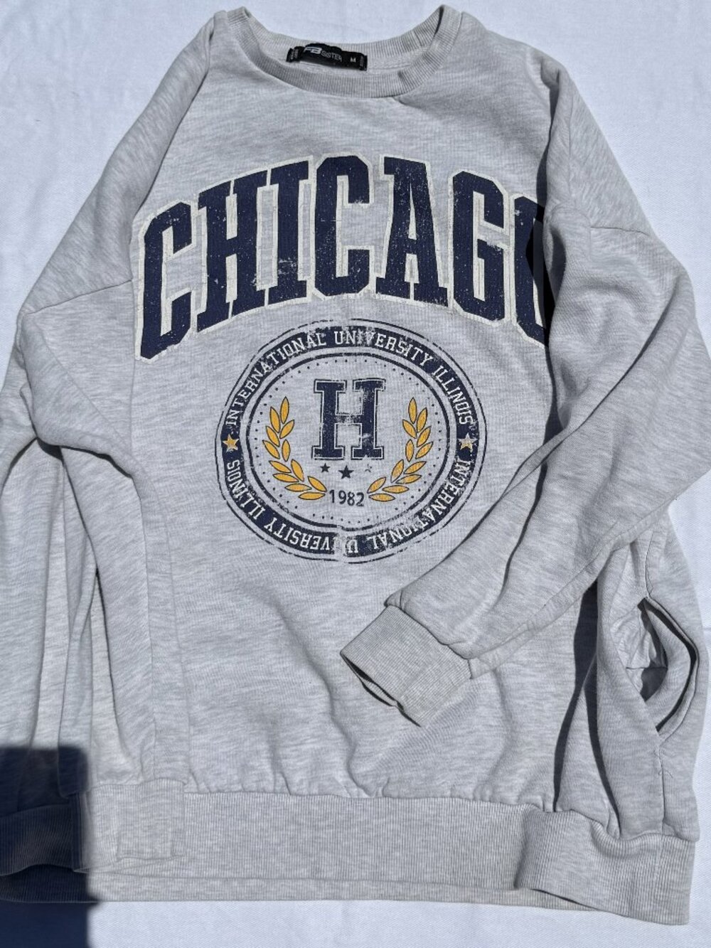 Chicago International University Illinois Distressed Crewneck